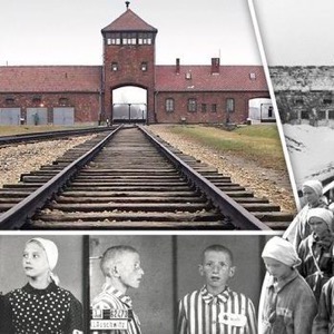 Picture of Auschwitz concentration camp on the top and images of child victims