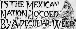 Newspaper headline from the 1910s reading: “Is Mexico Locoed by a Peculiar Weed”